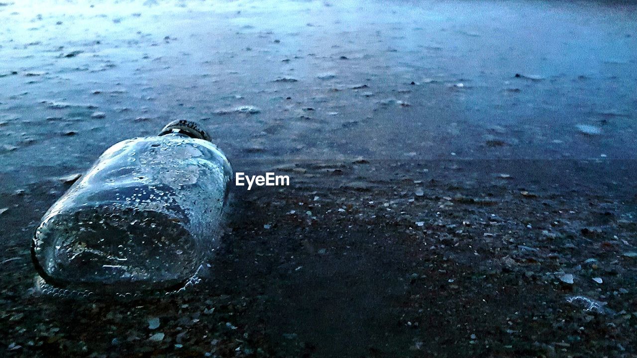 CLOSE-UP OF DUCK SWIMMING ON BEACH