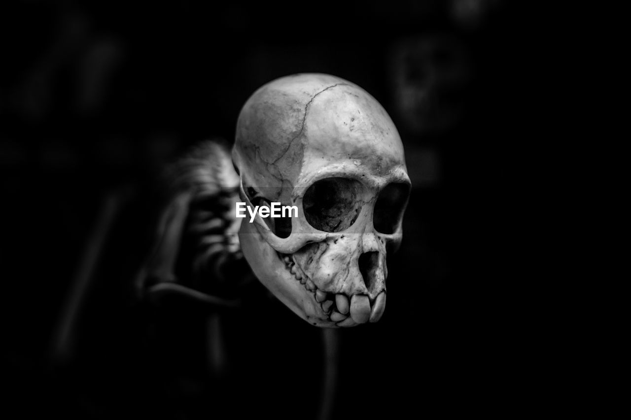 Close-up of human skull against black background