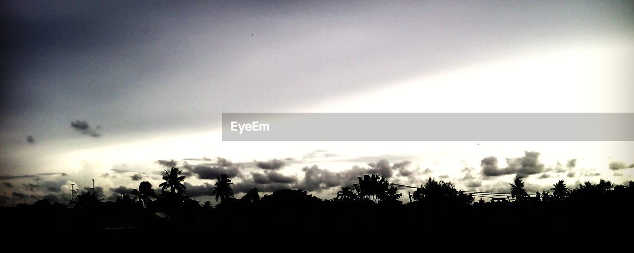 SILHOUETTE TREES AGAINST SKY DURING SUNSET