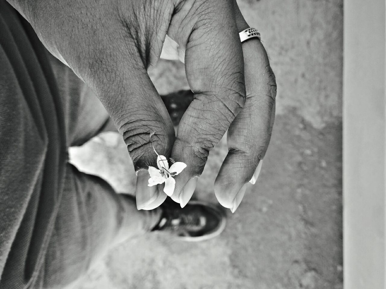 Close-up of woman holding flower