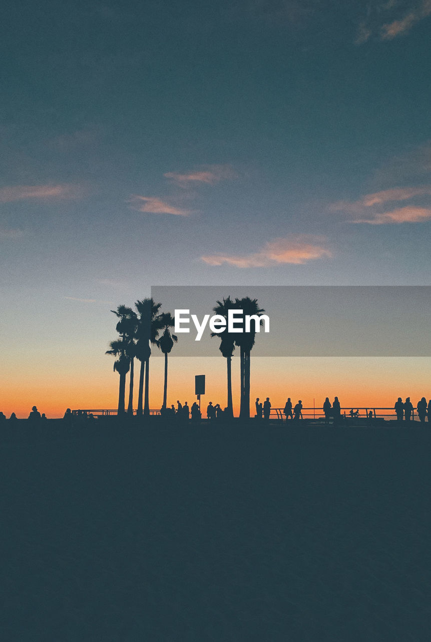 SILHOUETTE PALM TREES AGAINST SKY DURING SUNSET