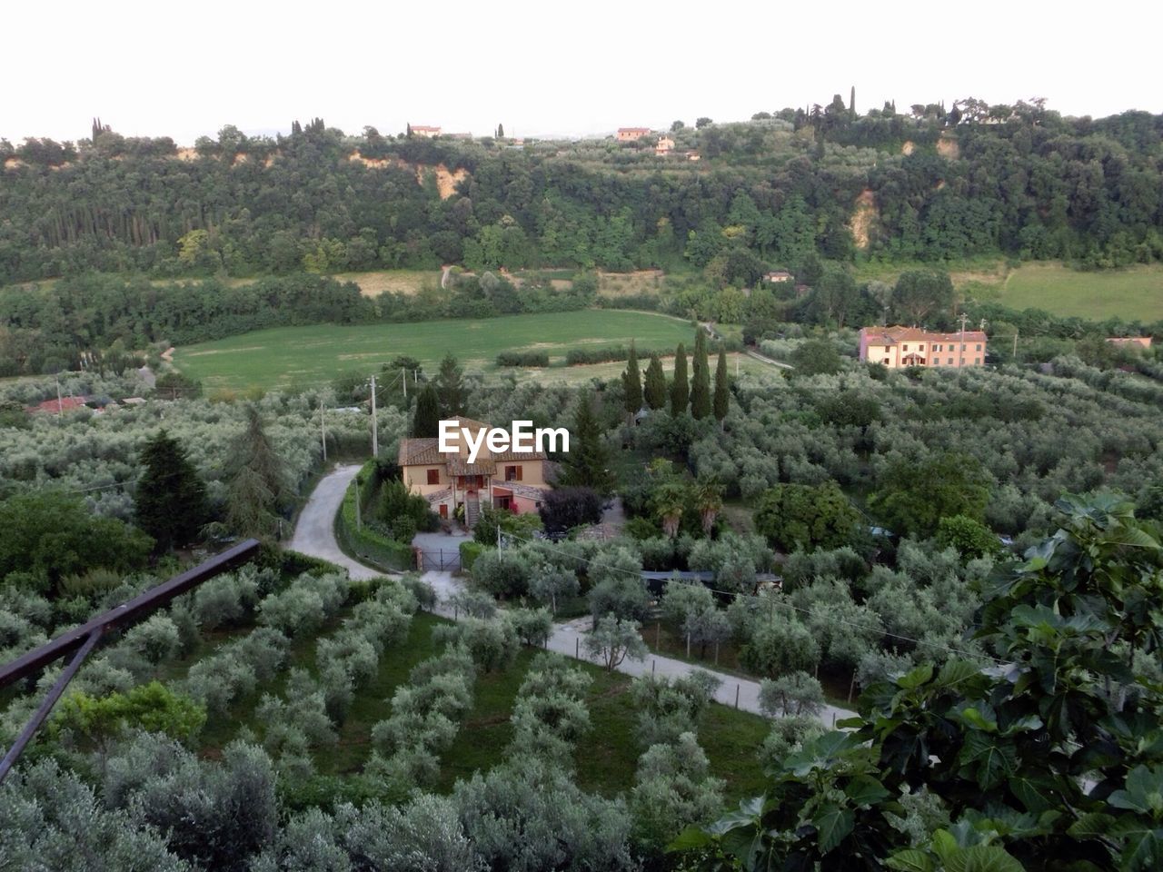 Elevated view of house and orchard near road