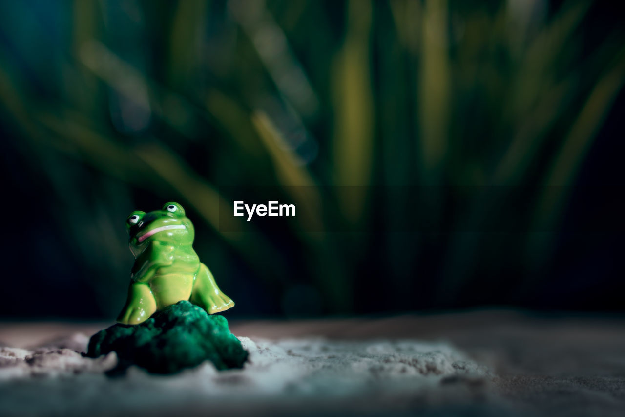 Toy frog on green rock in sand