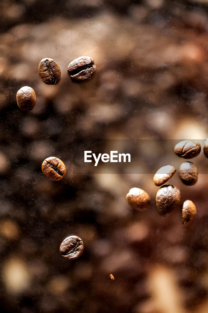 CLOSE-UP OF COFFEE BEANS IN GLASS
