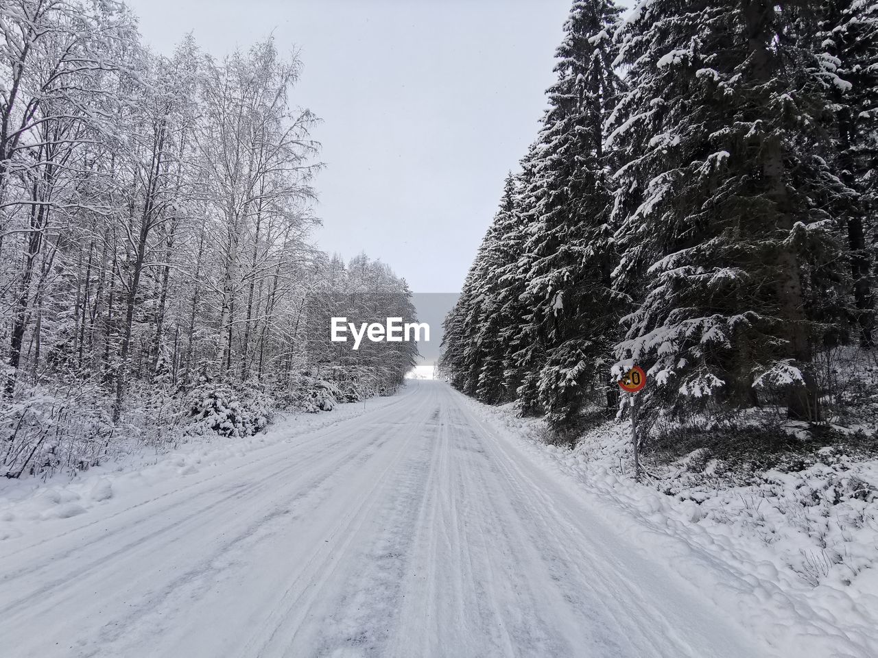 SNOW COVERED ROAD BY TREES AGAINST SKY