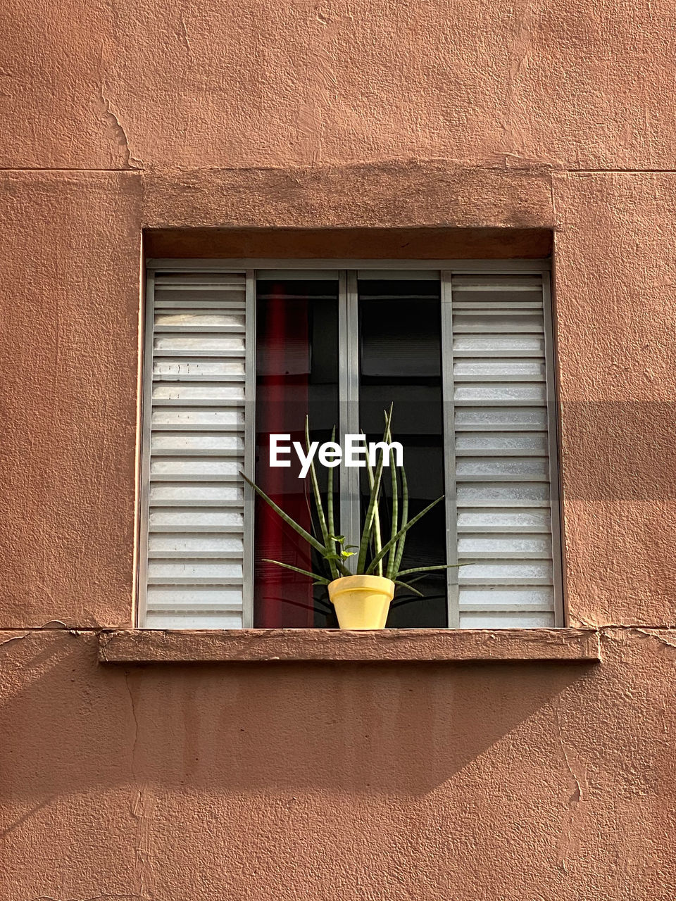 Yellow plant pot on a window sill and red curtain 