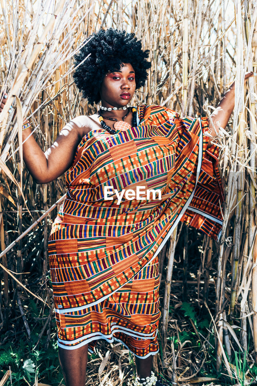 Plus size black female in traditional colorful african clothes with curly hair grasping tall dry grass on sunny day in field