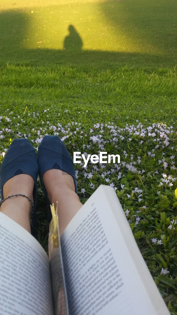 Low section of woman with book on lawn