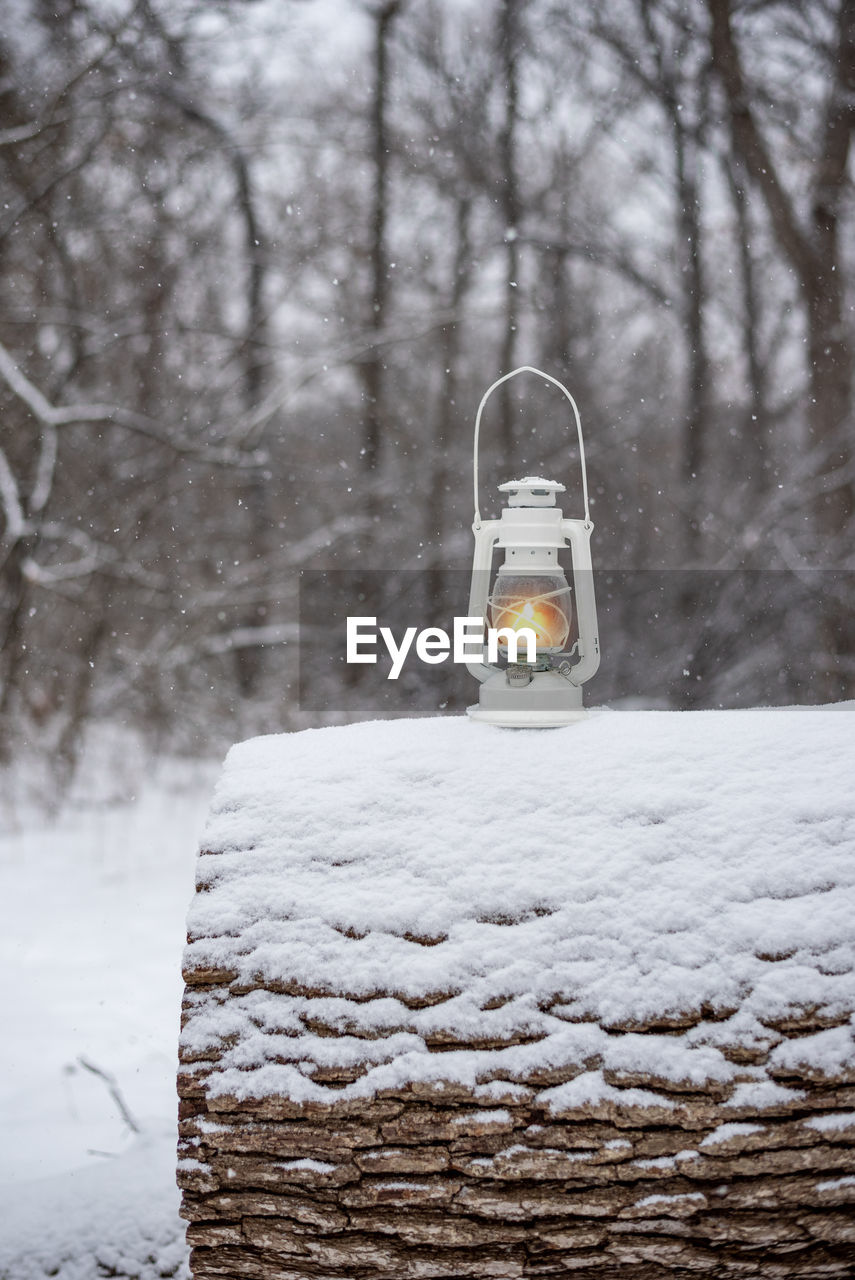 Lantern sitting on snow covered log in winter forest