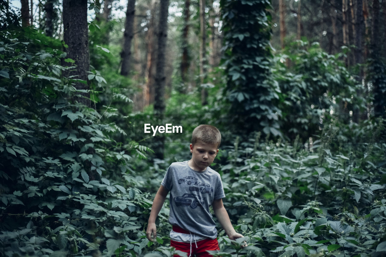 Boy standing by plants in forest