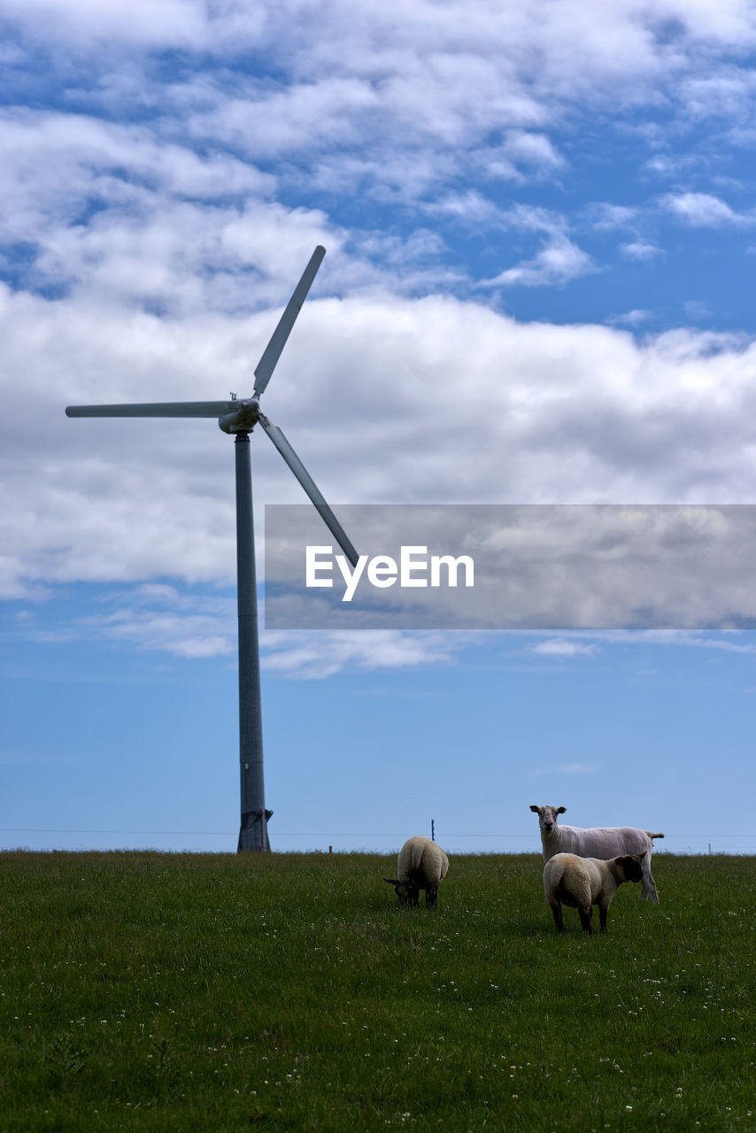 Windmill on a field