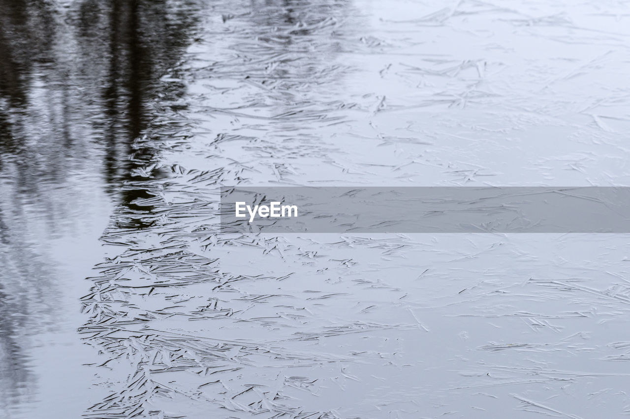 HIGH ANGLE VIEW OF BIRDS SWIMMING ON LAKE