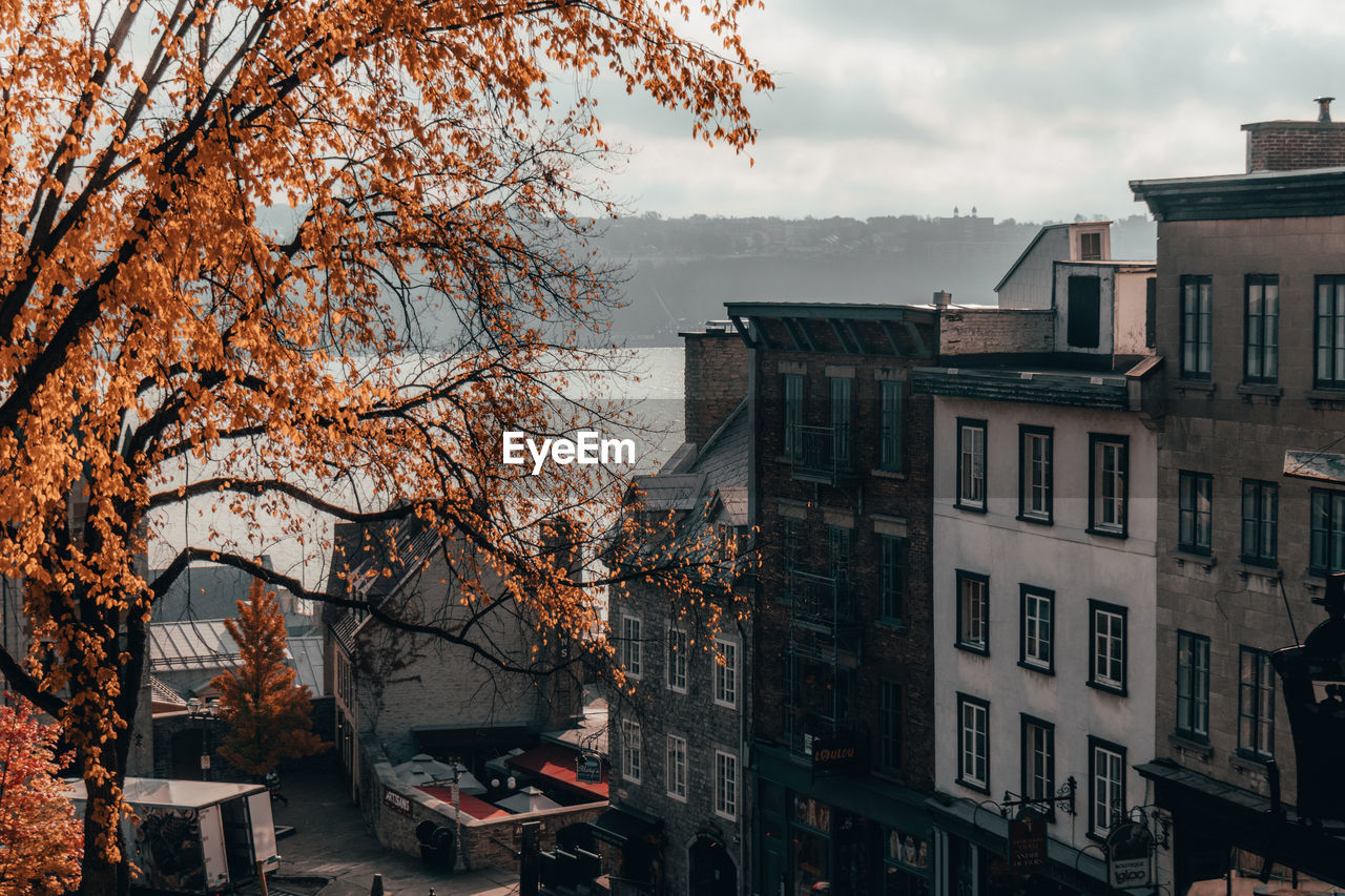 Buildings against sky during autumn