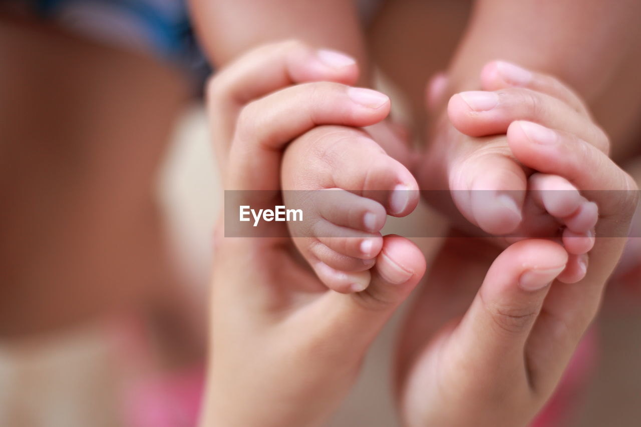 Cropped hands of mother holding baby legs