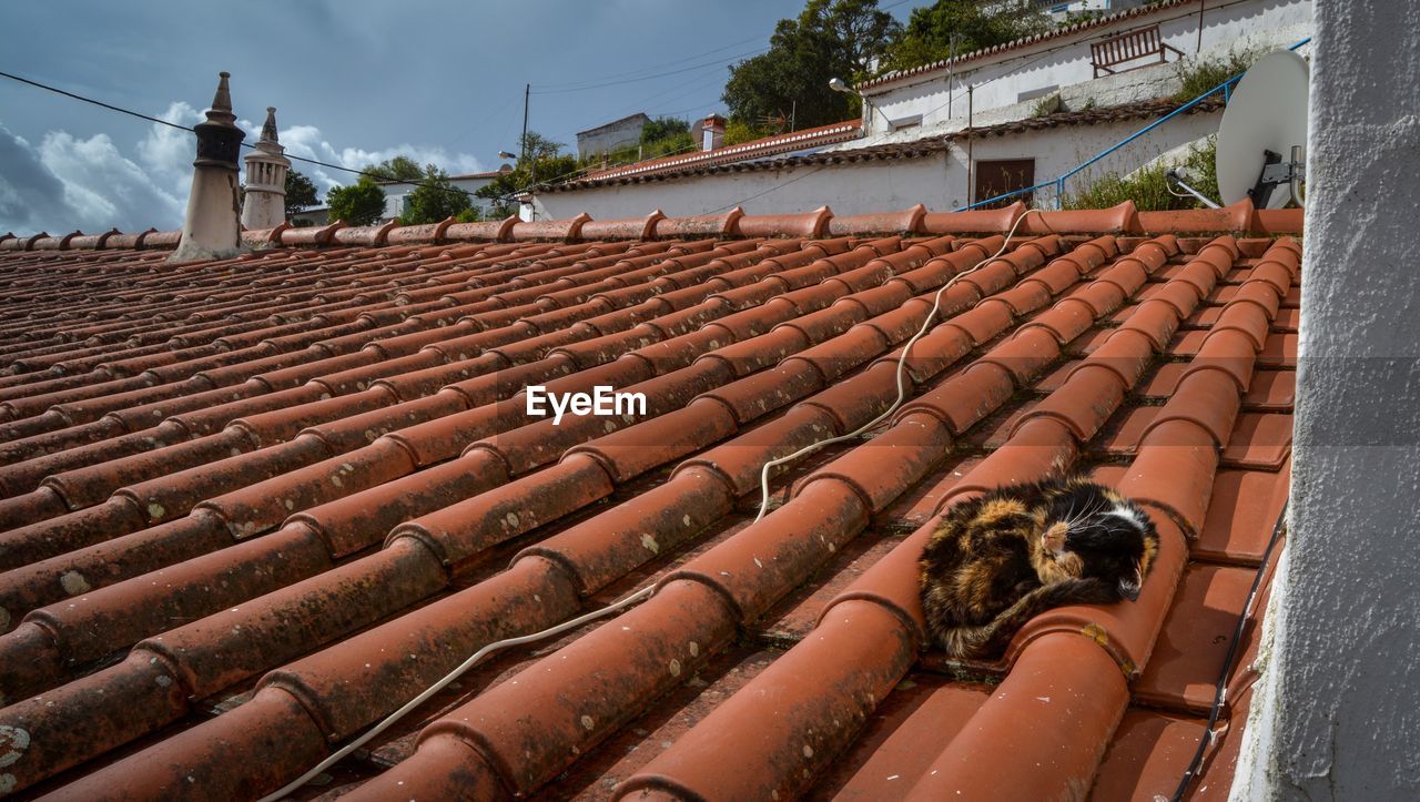 Stray cat sleeping on roof tile against sky