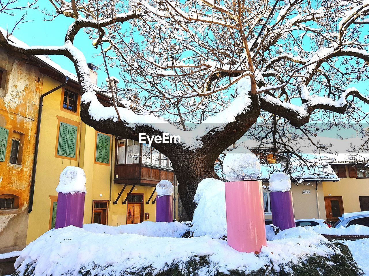 BARE TREE AND HOUSES IN WINTER