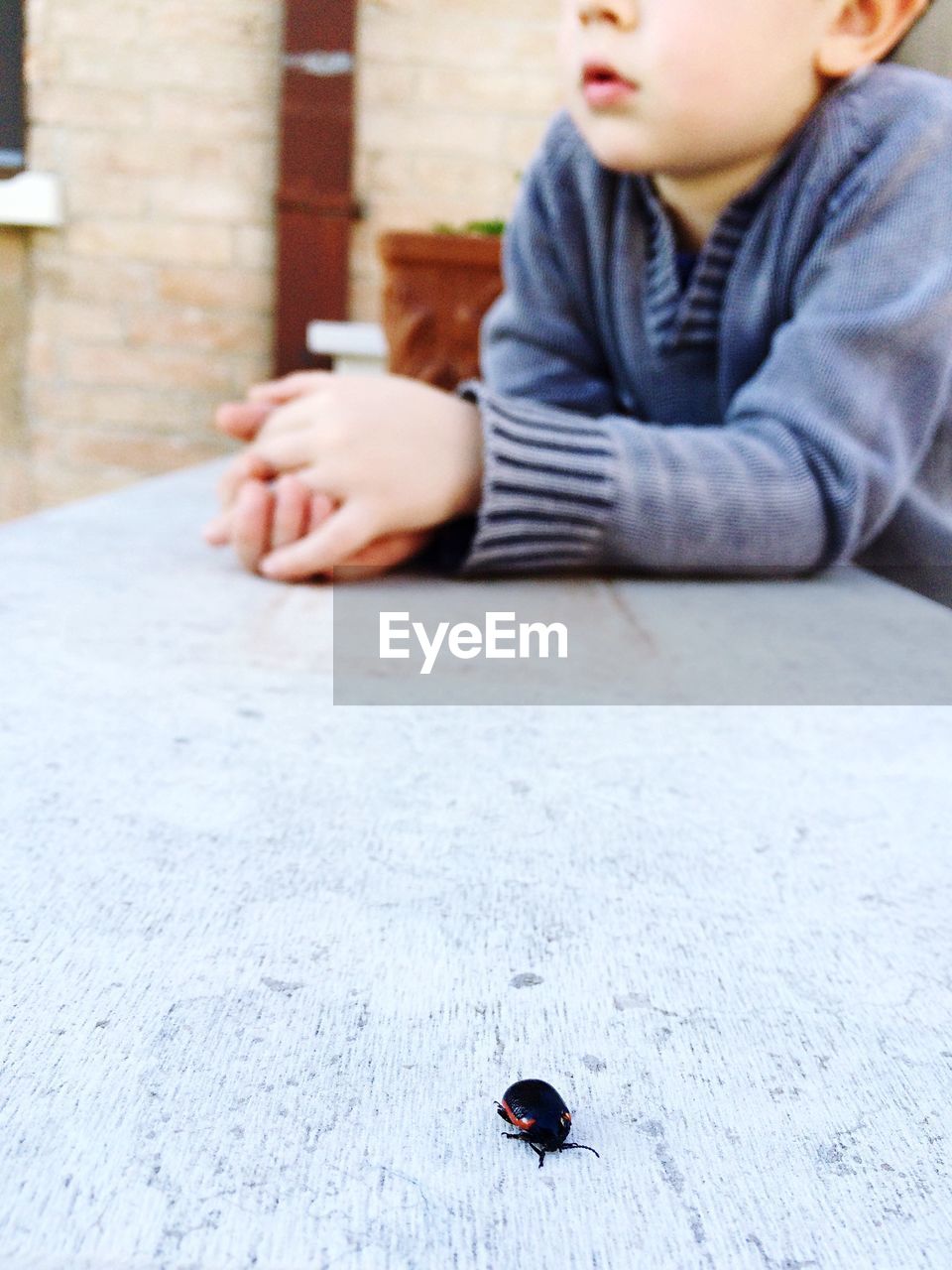 Close-up of boy sitting at table with insect in foreground