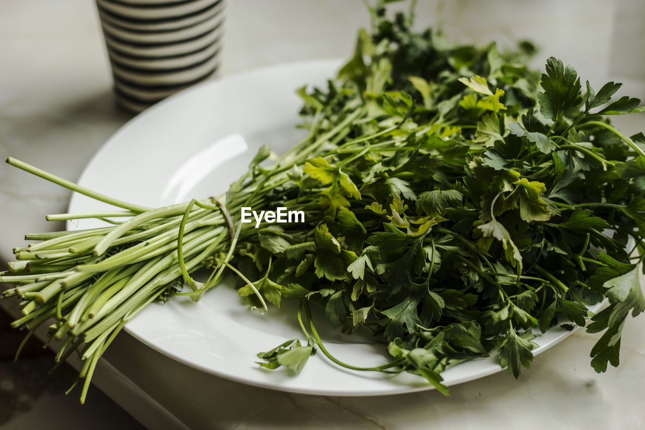 Parsley on a white porcelain place with two fresh tomatoes. aromatic herbs and red fruits