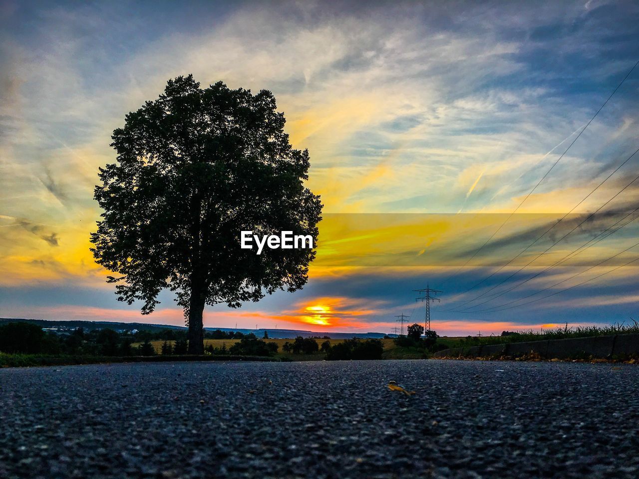 SILHOUETTE TREE AGAINST ORANGE SKY