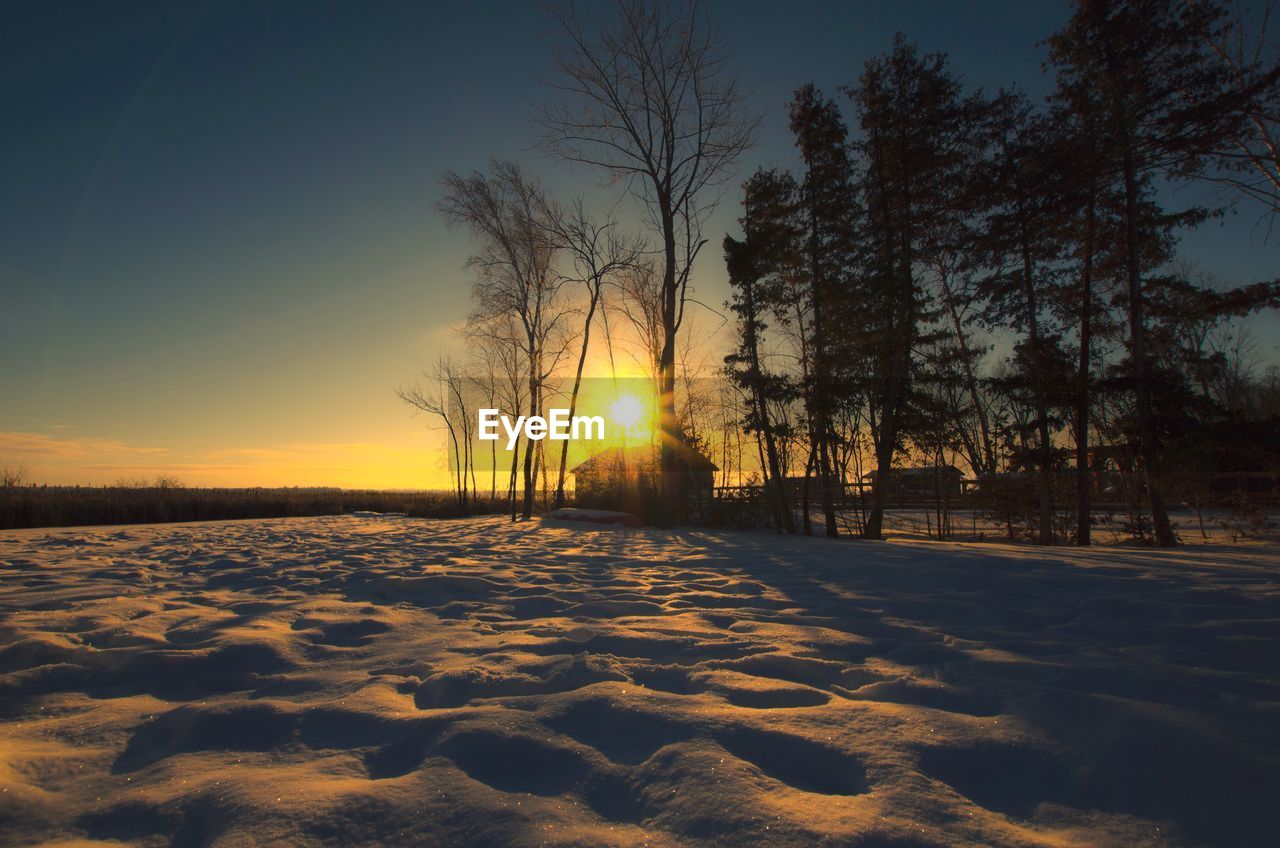 Trees on snow covered landscape at sunset