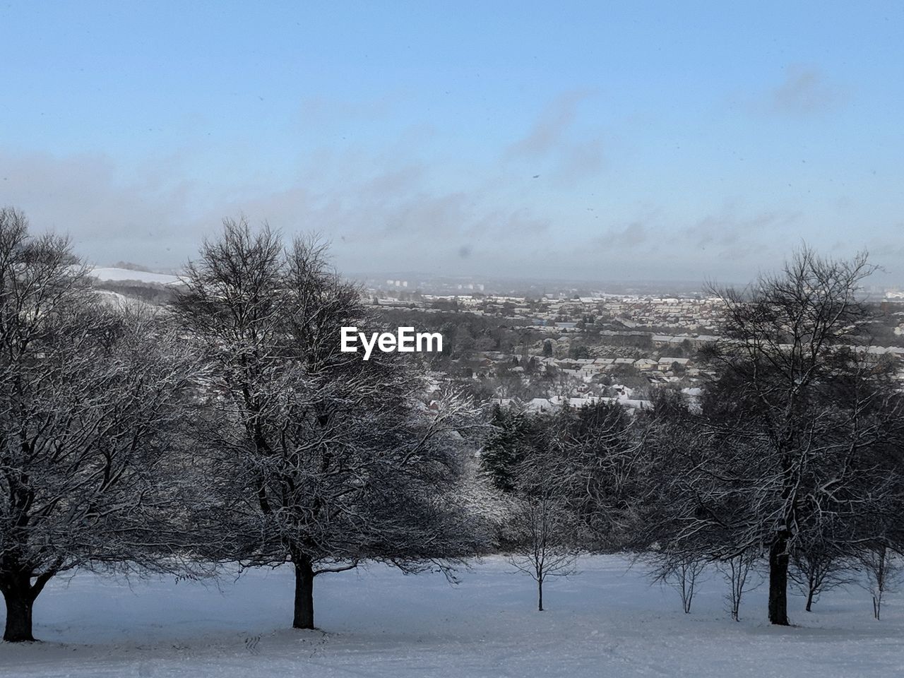 BARE TREES ON SNOW COVERED LANDSCAPE AGAINST SKY