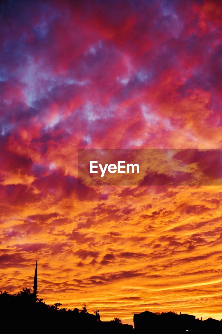 LOW ANGLE VIEW OF DRAMATIC SKY OVER SILHOUETTE TREES