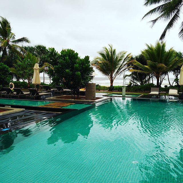 PALM TREES IN SWIMMING POOL