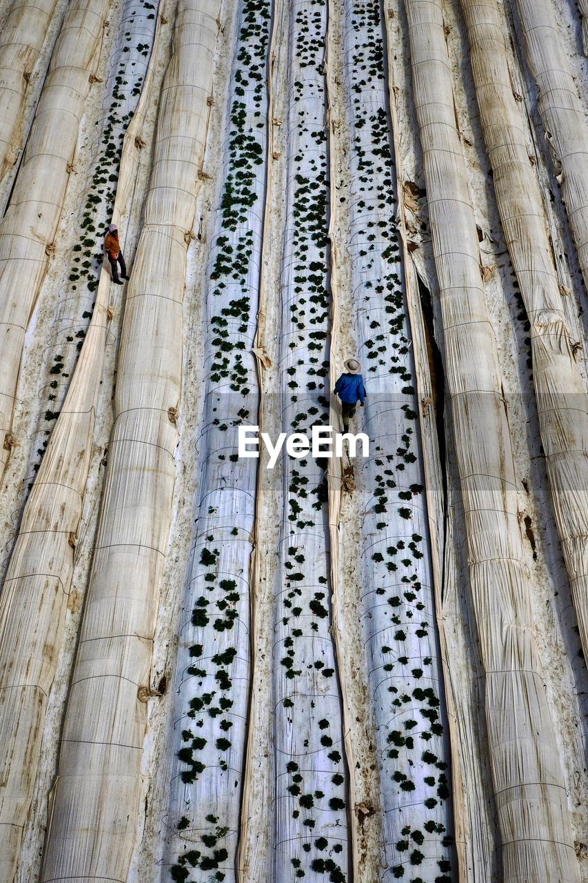 Aerial view of people walking on landscape