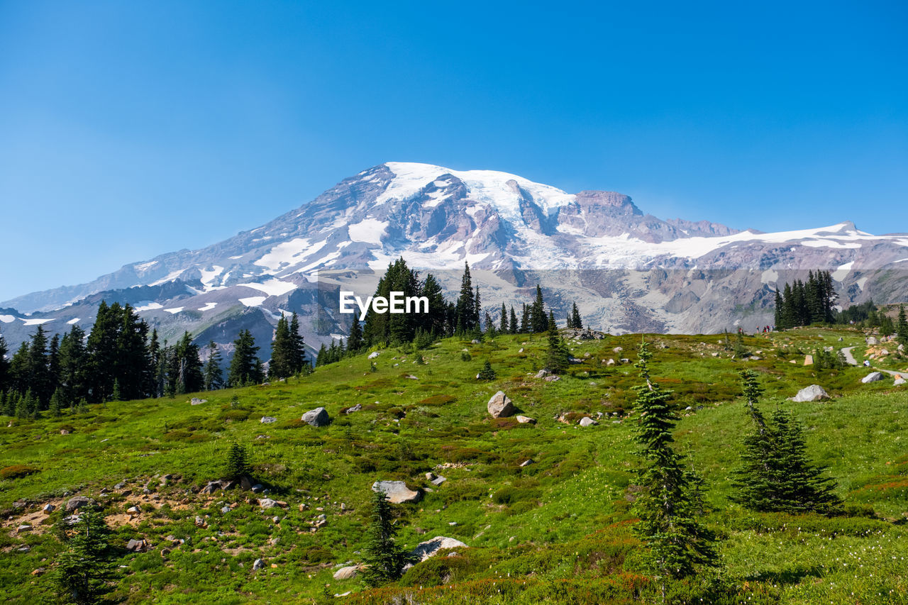 Scenic view of landscape against clear blue sky