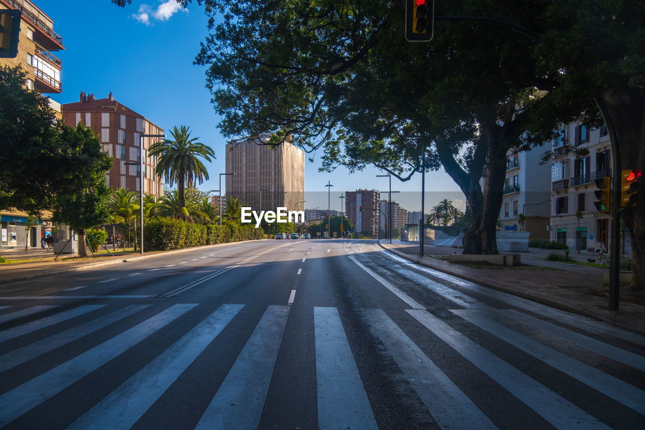 View of the main avenue in the center of malaga.