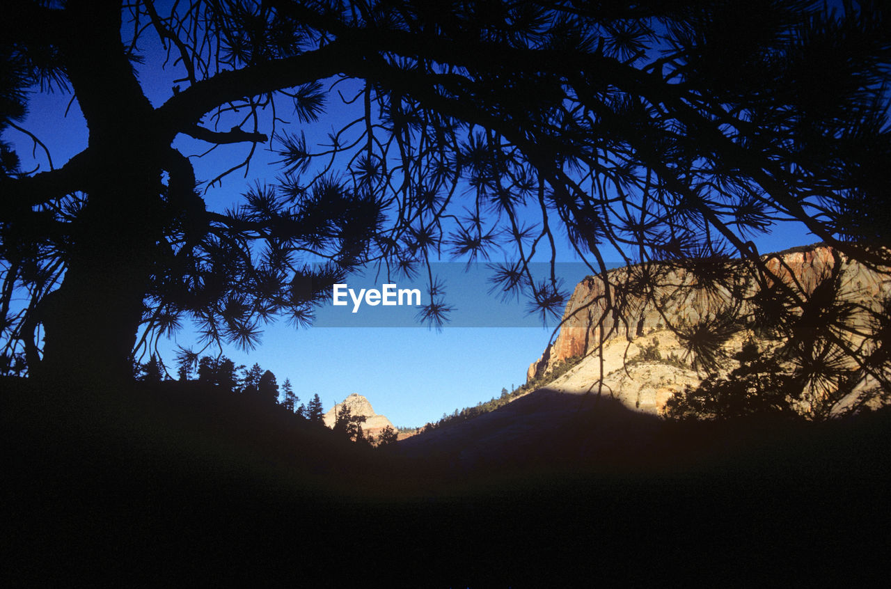 LOW ANGLE VIEW OF SILHOUETTE TREE MOUNTAINS AGAINST CLEAR BLUE SKY