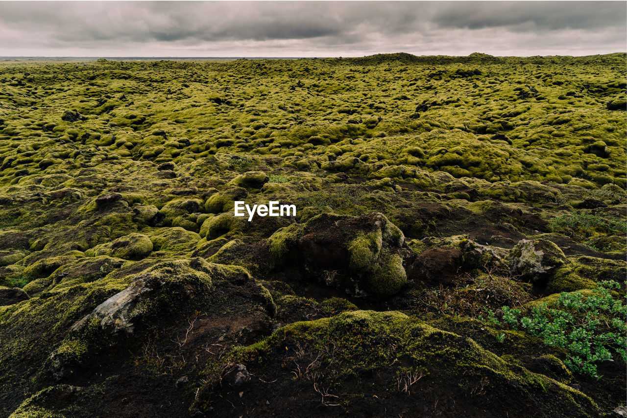 Scenic view of green landscape against sky