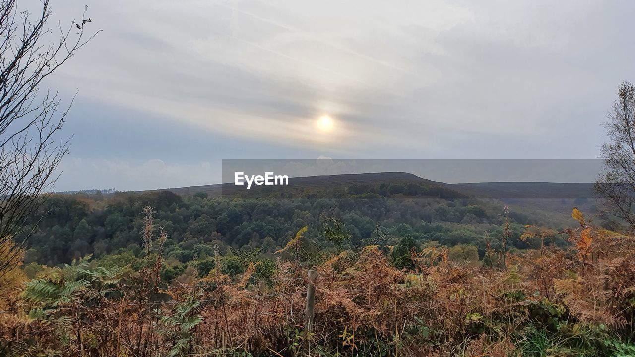 SCENIC VIEW OF LAND AND MOUNTAINS AGAINST SKY