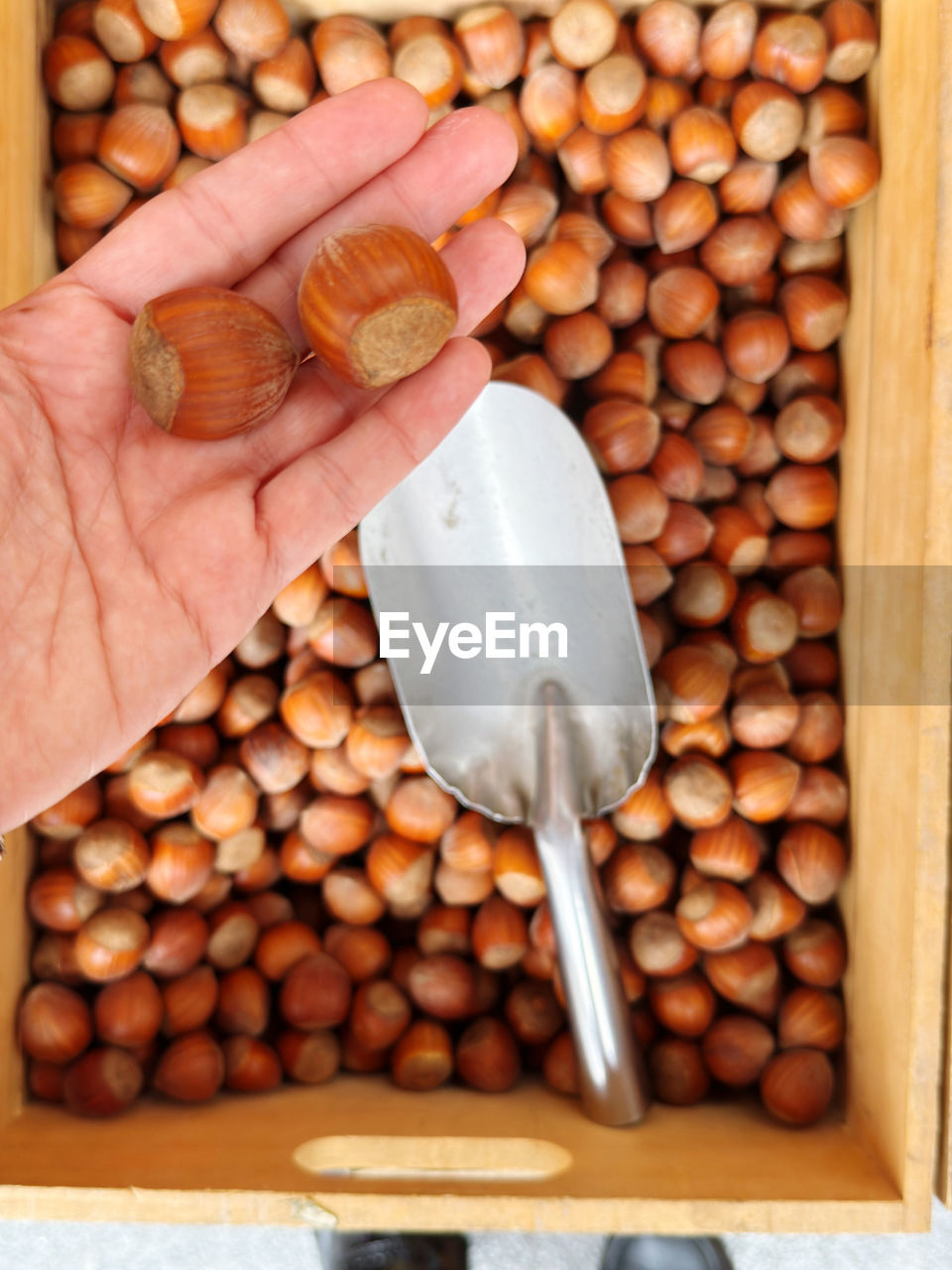 hand, food and drink, food, holding, produce, freshness, one person, healthy eating, nuts & seeds, kitchen utensil, close-up, wellbeing, common bean, nut, vegetable, indoors, nut - food, large group of objects, finger, eating utensil, abundance, spoon, wood, hazelnut, adult, bean
