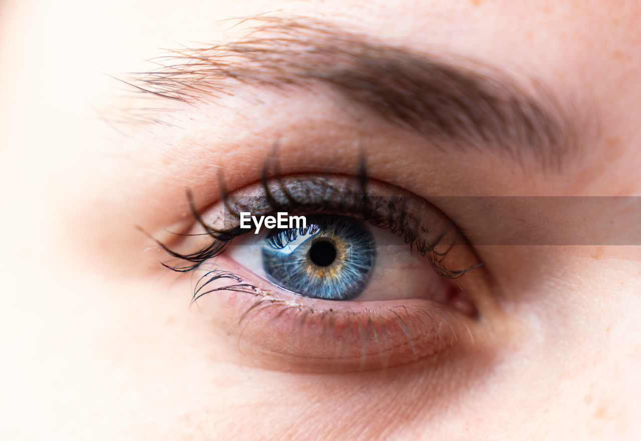cropped image of woman eye