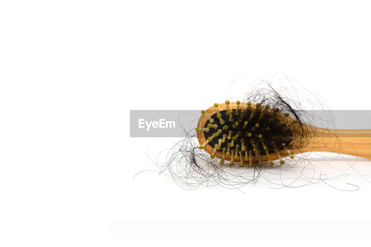 Close-up of comb with hair over white background