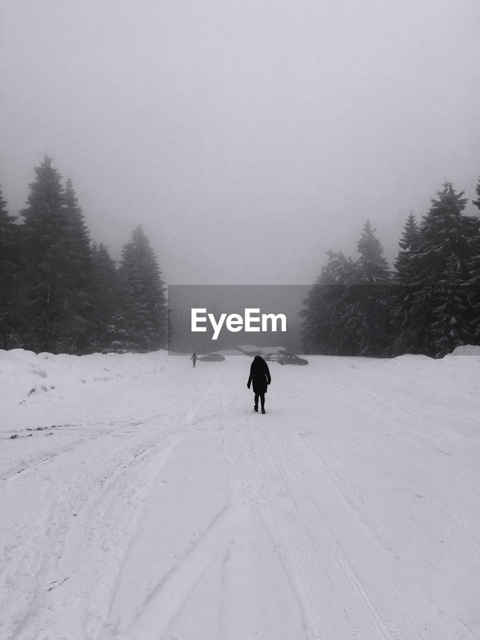 Rear view of people walking on snow covered landscape