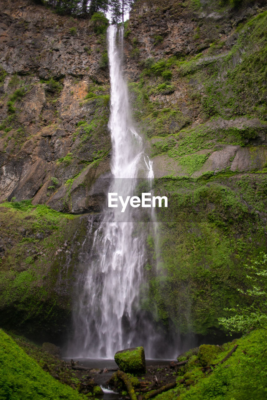 View of waterfall in forest