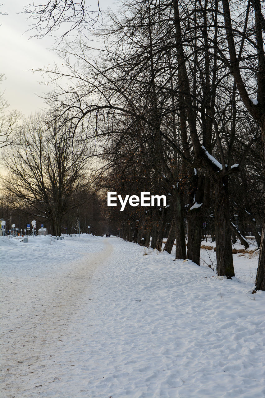 SNOW COVERED LANDSCAPE