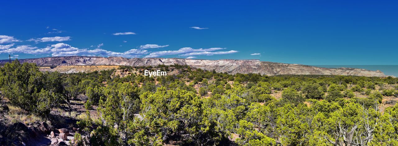 Escalante petrified forest state park views from hiking trail of the surrounding area lake utah