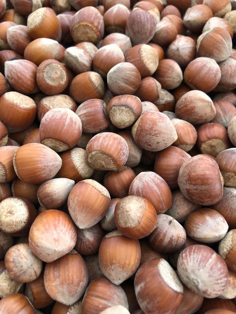 food and drink, food, large group of objects, abundance, freshness, backgrounds, full frame, produce, healthy eating, wellbeing, no people, still life, close-up, nut - food, nut, brown, day, high angle view, nuts & seeds