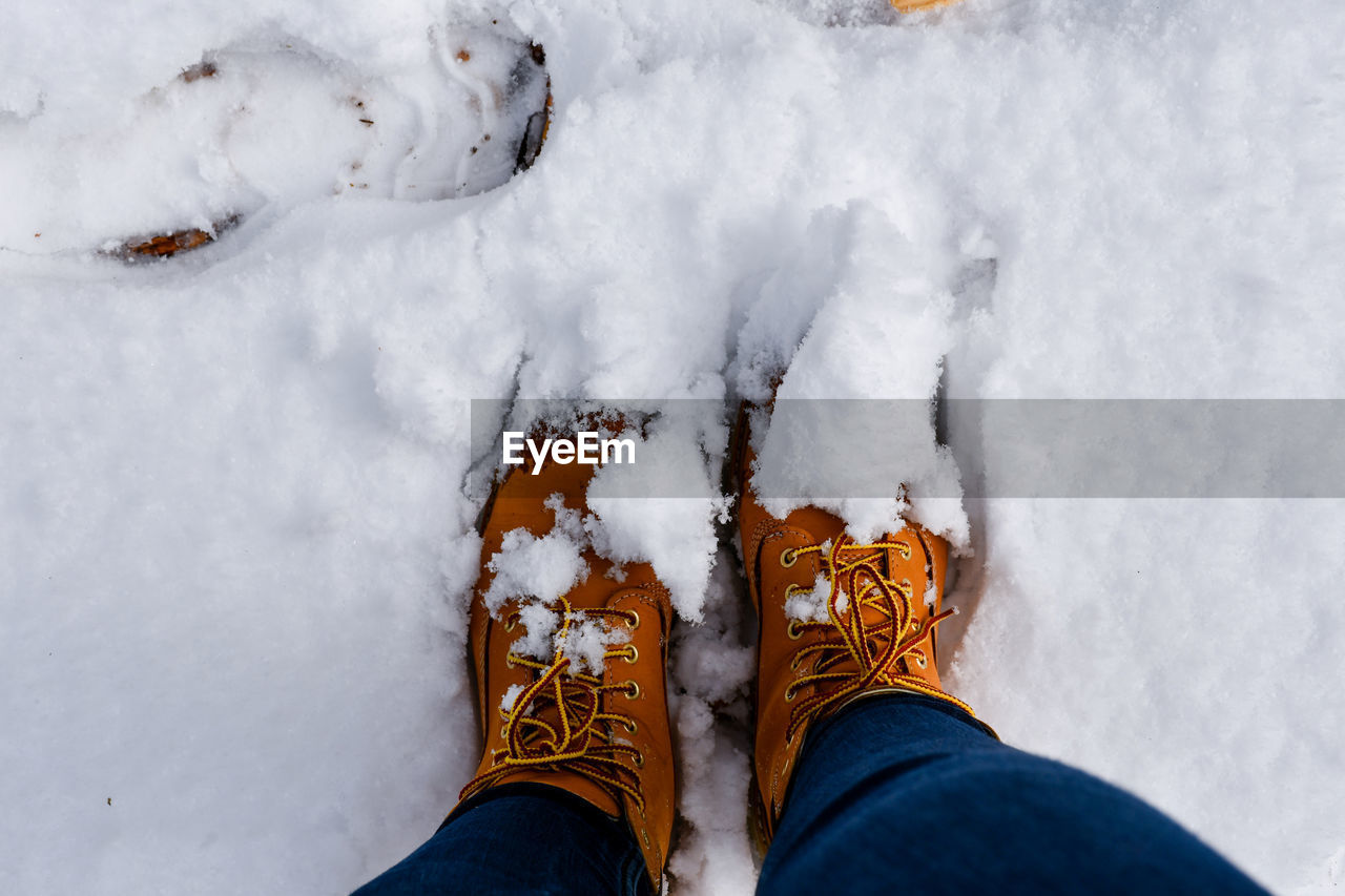 Low section of person standing on snow