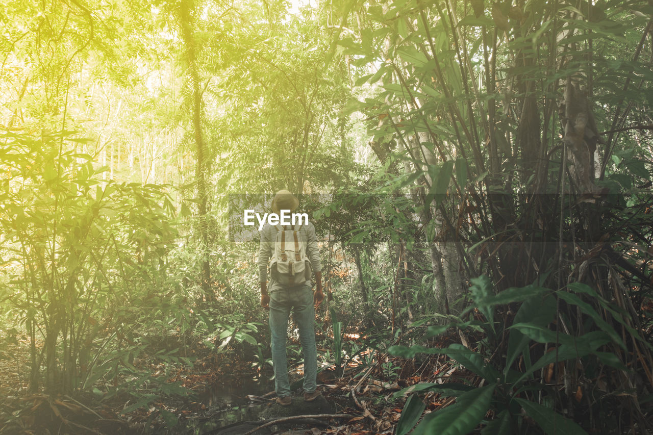 REAR VIEW OF PERSON STANDING BY PLANTS IN FOREST