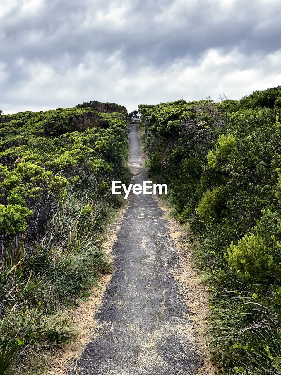 DIRT ROAD AMIDST TREES ON LANDSCAPE AGAINST SKY