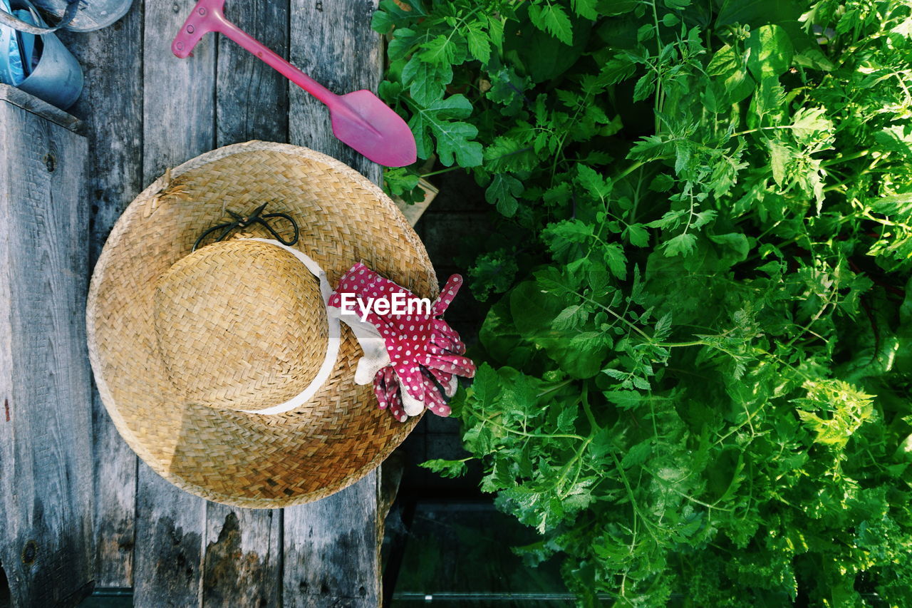 Close-up of straw hat hanging on wooden fence by plants