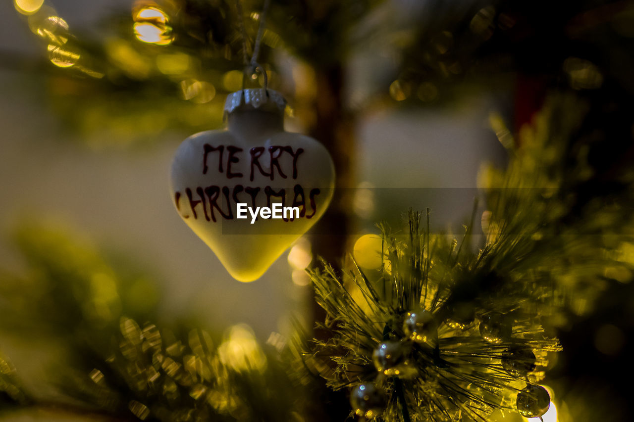 CLOSE-UP OF TEXT ON HEART SHAPE HANGING ON PLANT