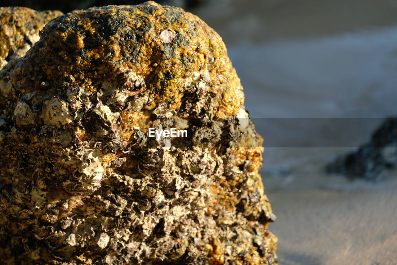 CLOSE-UP OF ROCK FORMATION ON BEACH