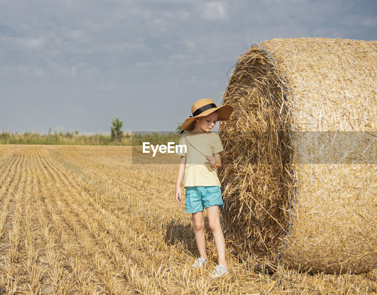 Little girl having fun in a wheat field on a summer day. 