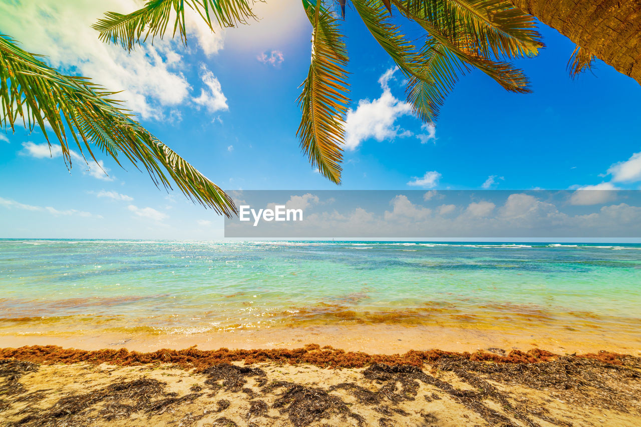 SCENIC VIEW OF SEA AGAINST SKY AT BEACH