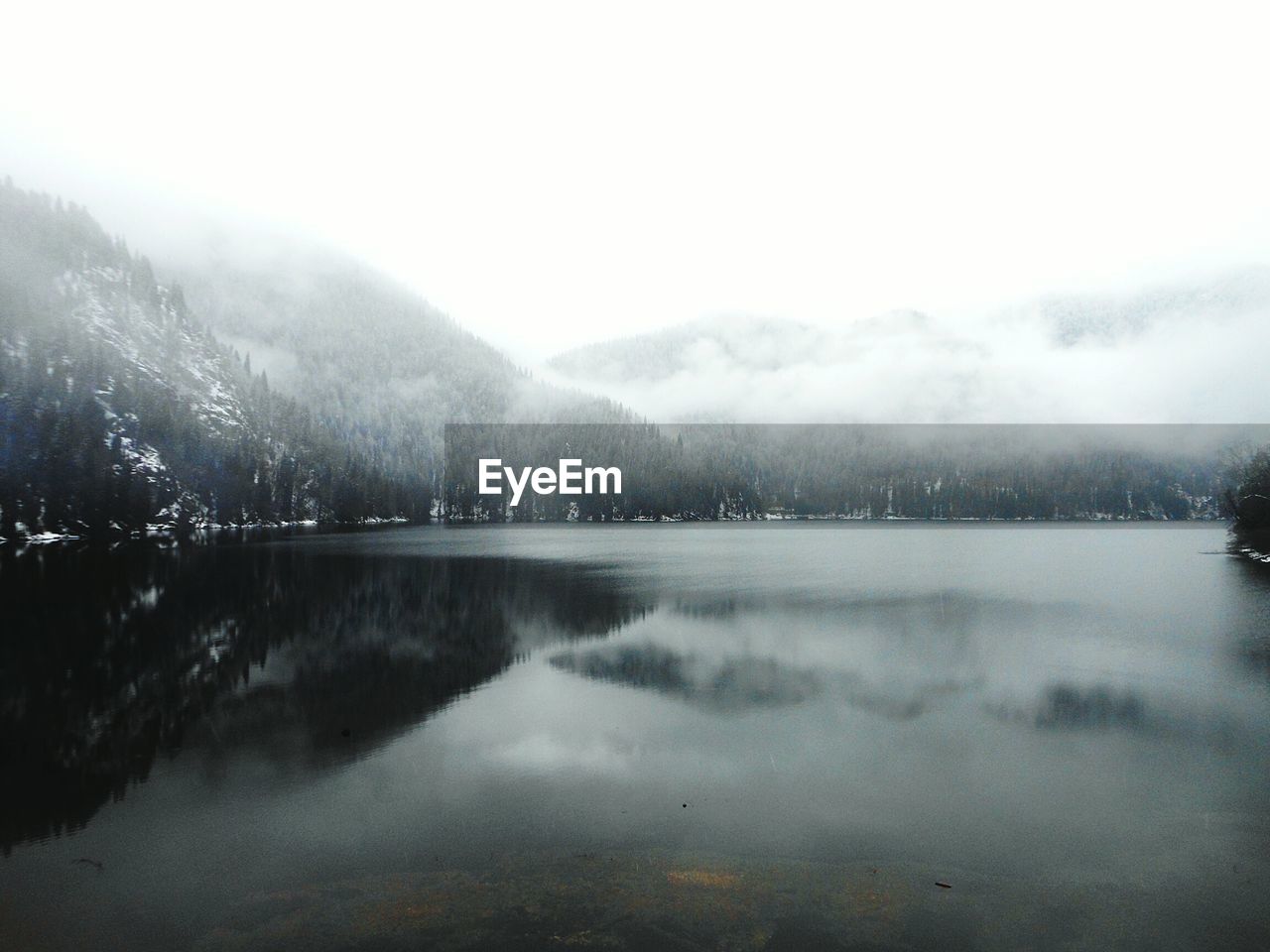 REFLECTION OF TREES IN LAKE AGAINST SKY